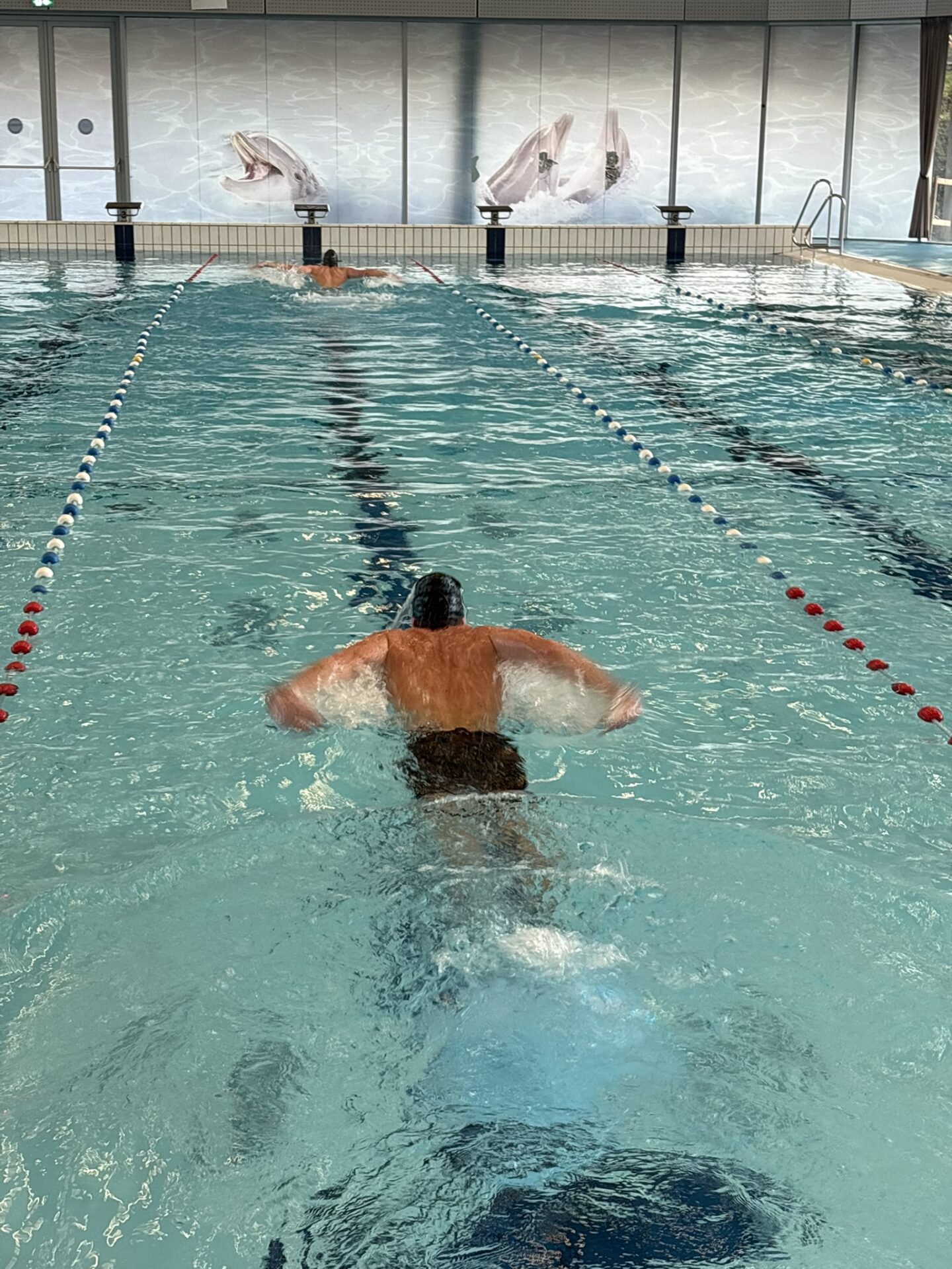 Advanced swimmer performing butterfly stroke