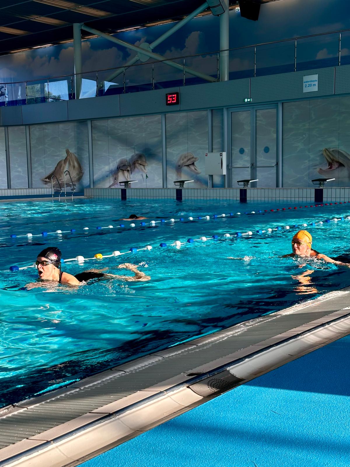 Intermediate swimmer refining freestyle technique in Amsterdam